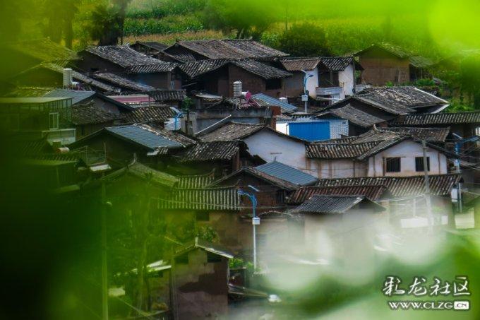 加入遇到这么浪漫的爱心树+一定要分享给喜欢的人怎么回答女生?,探索知识星球的精彩内容